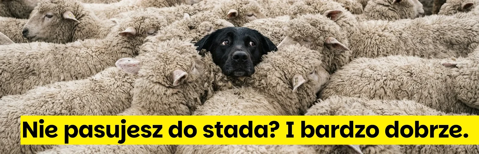 Kariera w Elzap - Dołącz do nas